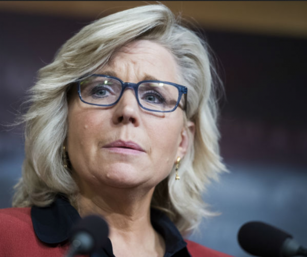 NeverTrumpers Hero Liz Cheney Is in Trouble Back Home Great American